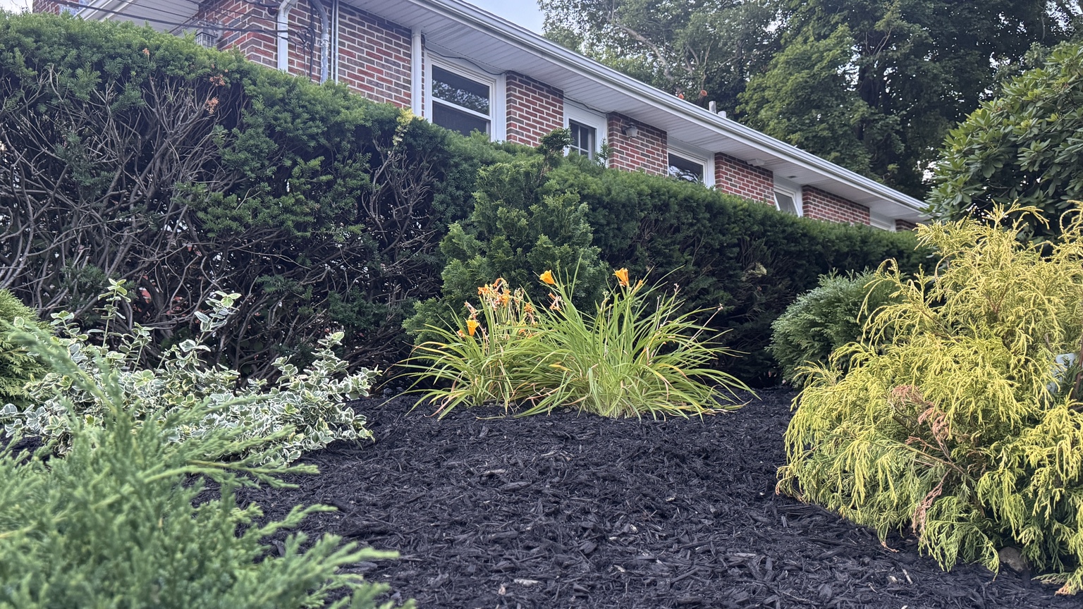 Burlington HOA project